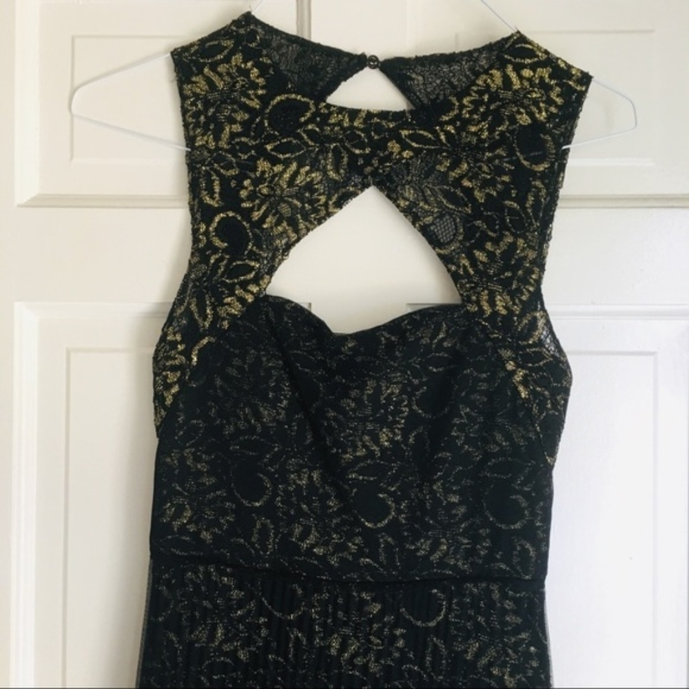 BCBG | Black &Gold Open Back Tulle Pleated Gown - Picture 9 of 9